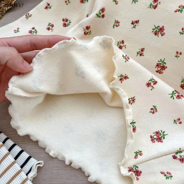 Áo sơ mi tay dài họa tiết hoa mỏng cổ cao ins - sỉ 90k