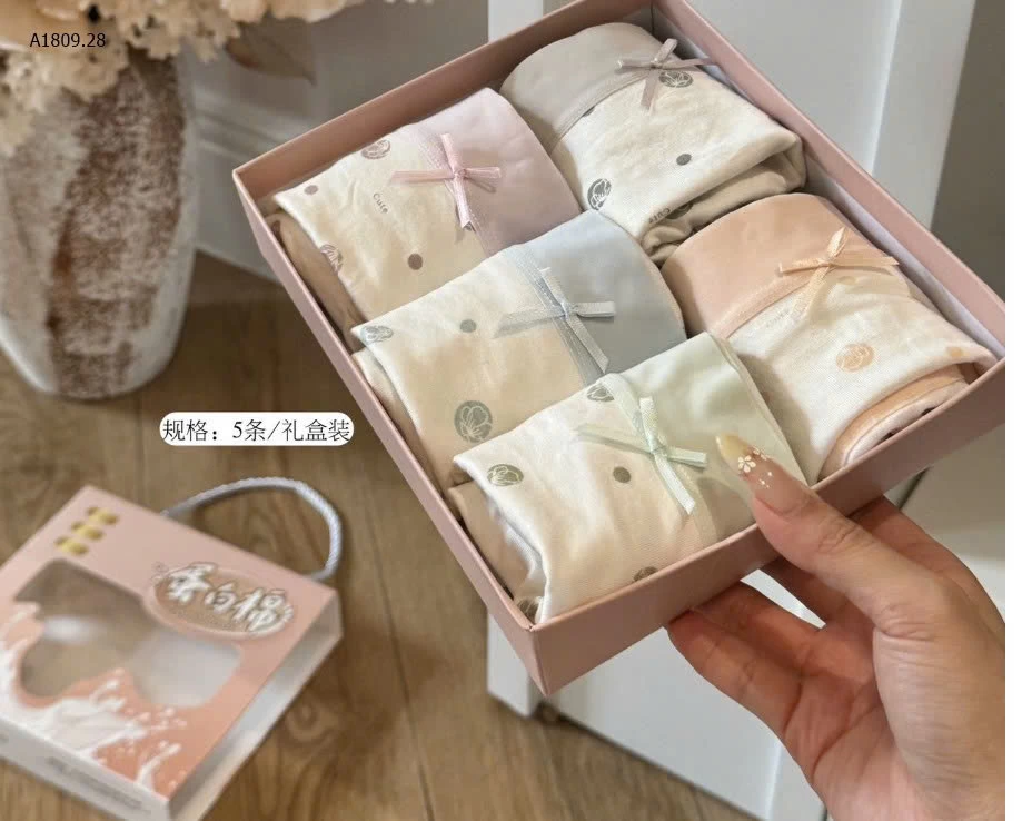 SET HỘP 5 QUẦN CHIP NỮ - sỉ 105k  