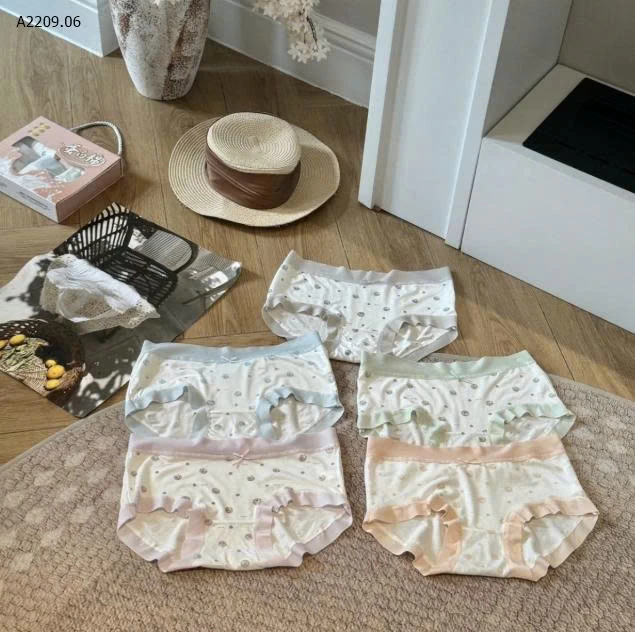 SET HỘP 5 QUẦN CHIP NỮ - sỉ 115k