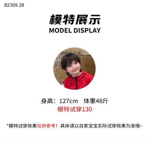 ÁO THUN CHỮ DÀI TAY BT - sỉ 142k