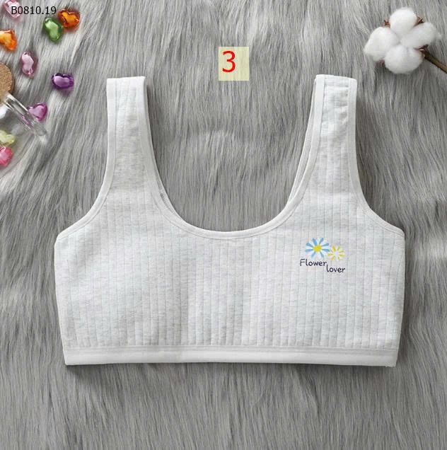 BRA COTTON GÂN BÉ GÁI - sỉ 120k/set 4c mix