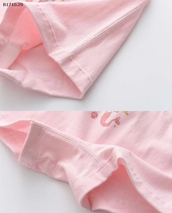 SET 5 Quần chíp đùi QCCC-Giá sỉ  sz 100-150 :  132k sz 160-170  :   142K