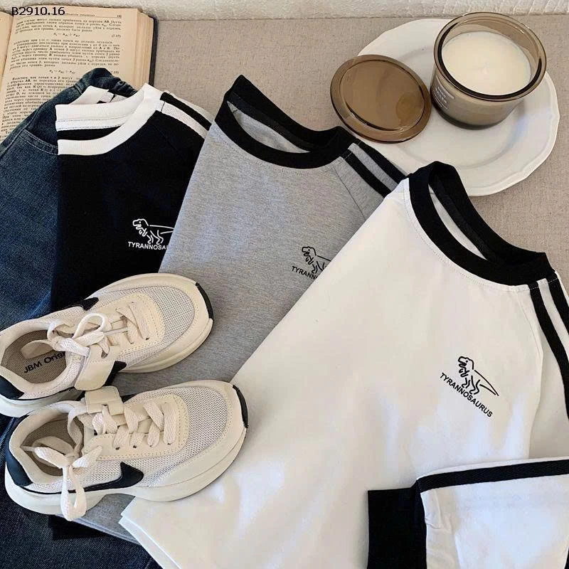 Áo thun tay dài raglan họa tiết khủng long thời trang thu đông 2025 cho bé- sỉ 129k