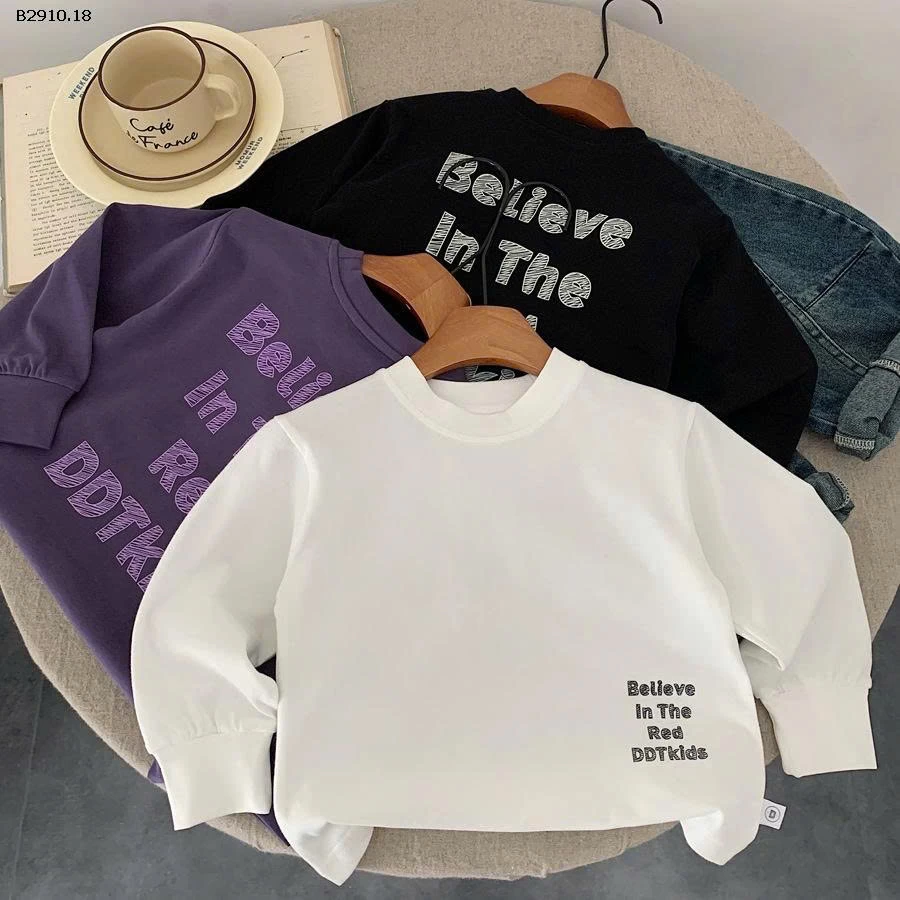 Áo thun nam chải kỹ mùa thu 2025 - sỉ 123k