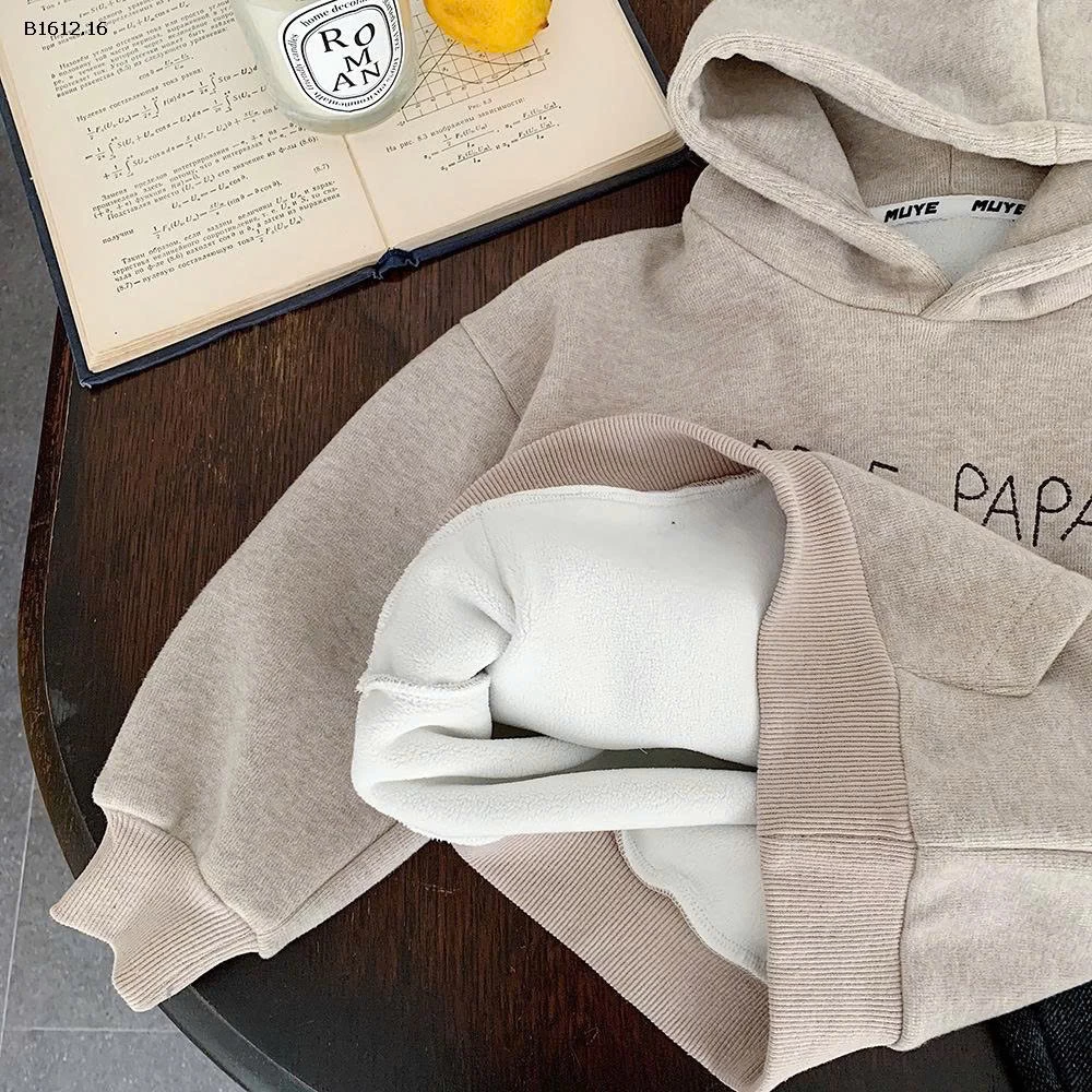 ÁO HOODIE NỈ BT- sỉ 299k