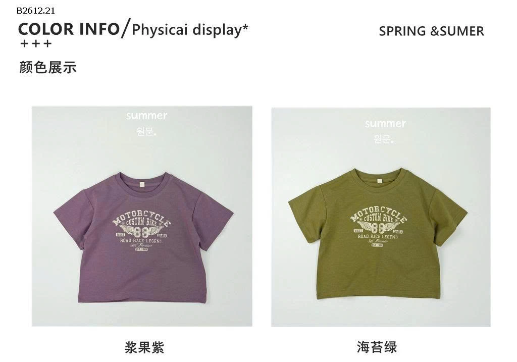 ÁO THUN HÈ SỐ 88-Giá sỉ 118k