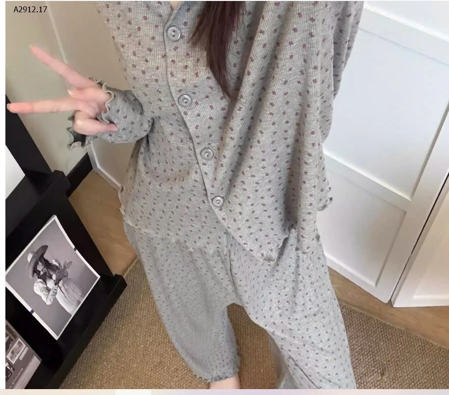 Bộ đồ ngủ gia đình , hoa hồng mùa xuân thu dành cho nữ 2025 - sỉ 120k