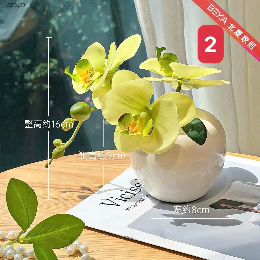 BÌNH HOA LAN MINI DECOR sỉ 122k