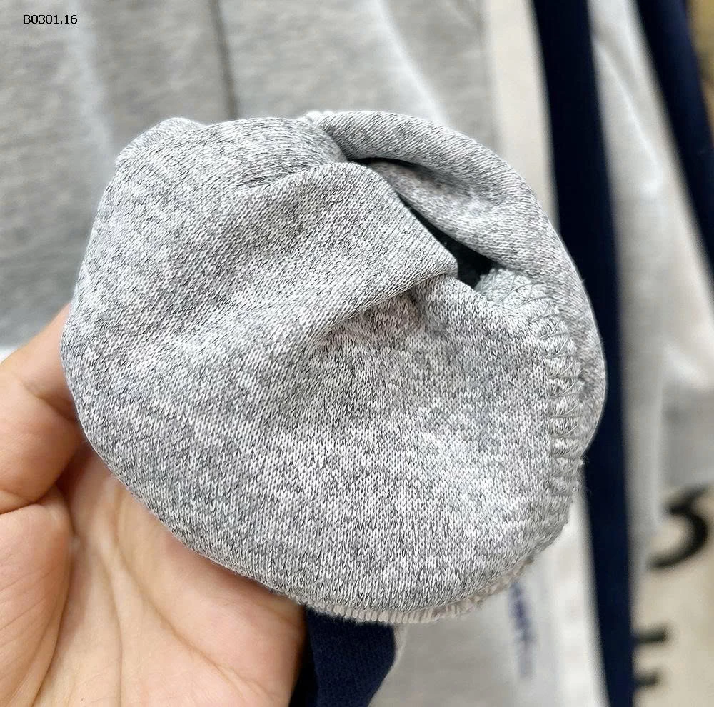 BST Bộ đồ mùa thu kiểu mới 2025 cho bé trai-Giá sỉ 242k