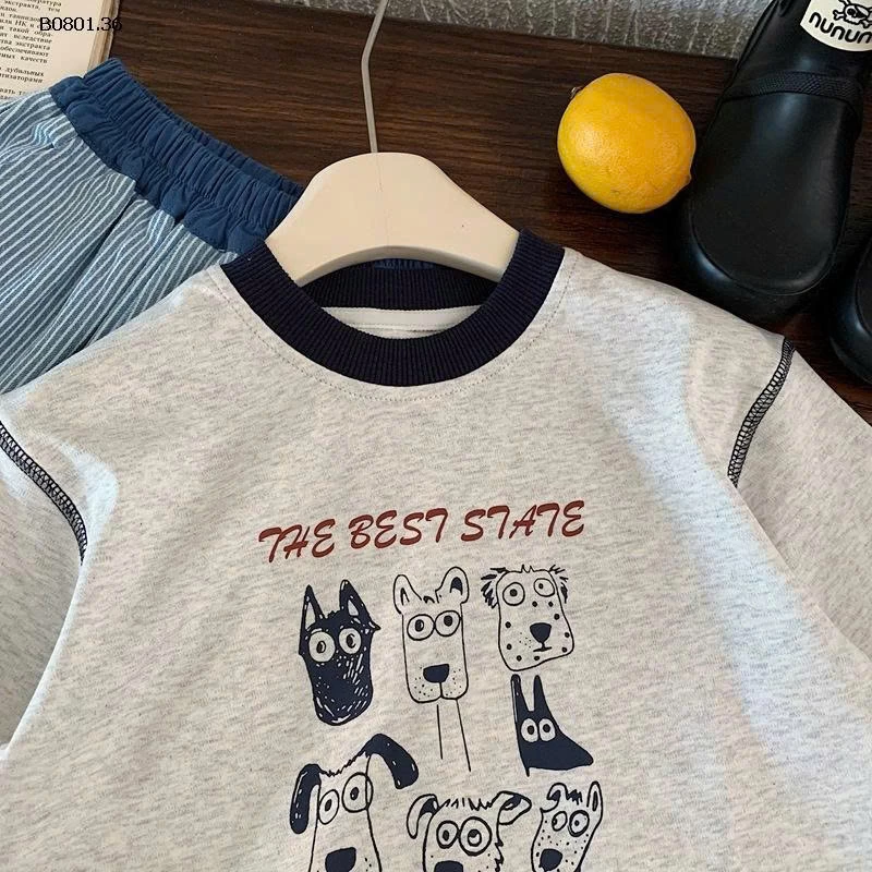 Áo thun dài tay cho bé trai, kiểu dáng mới xuân thu - sỉ giá 152k