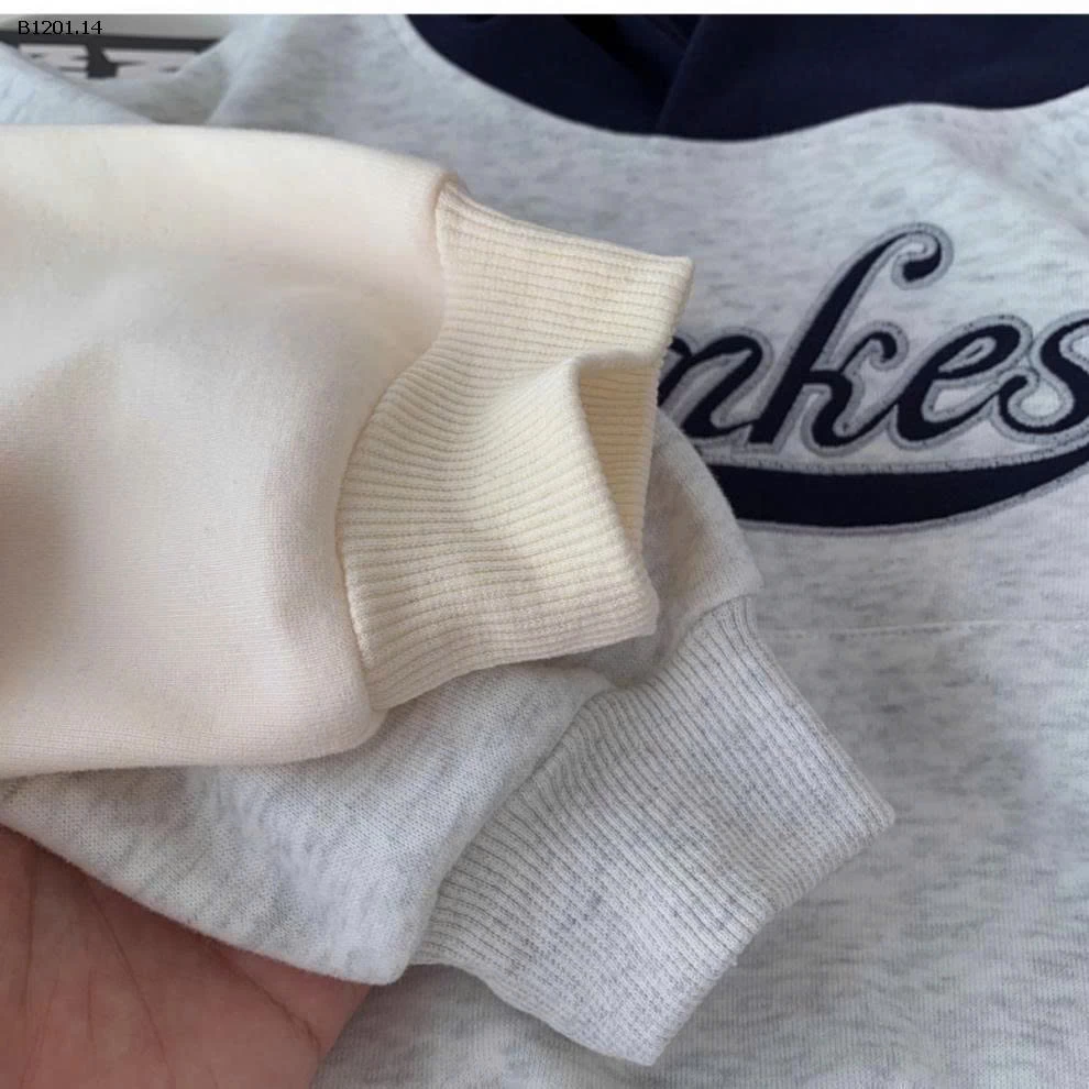 HOODIE TÚI TRƯỚC PHỐI MÀU MŨ- sỉ 140k
