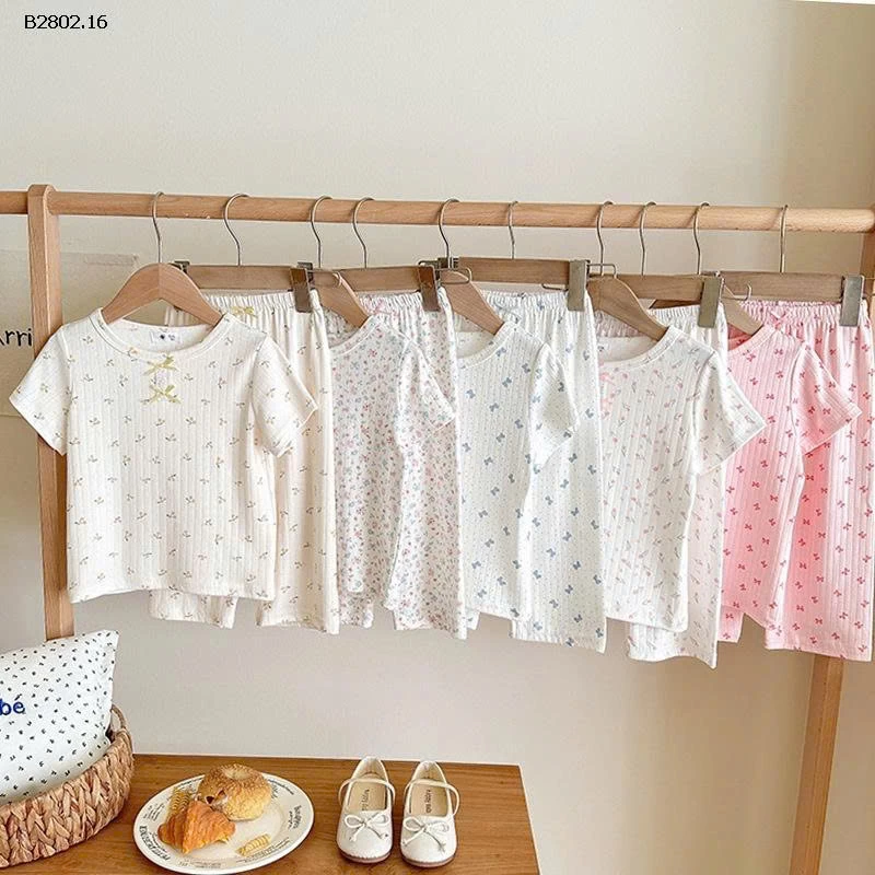 BỘ HÈ HỌA TIẾT BG- SỈ 139K