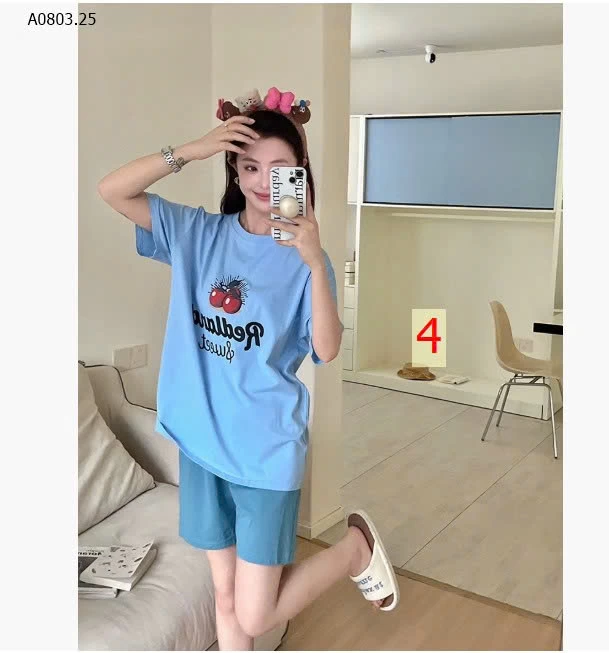 BỘ CỘC TRÁI CÂY MÙA HÈ - sỉ 191k