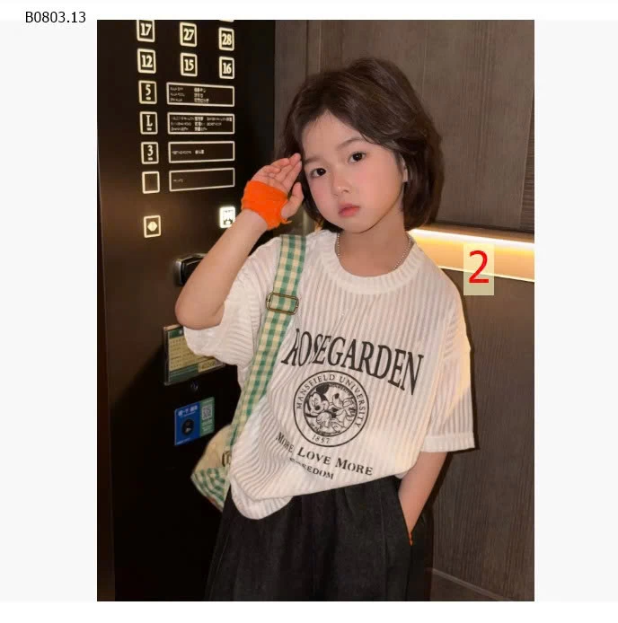 ÁO THUN GIẤY IN CHỮ - sỉ 139k