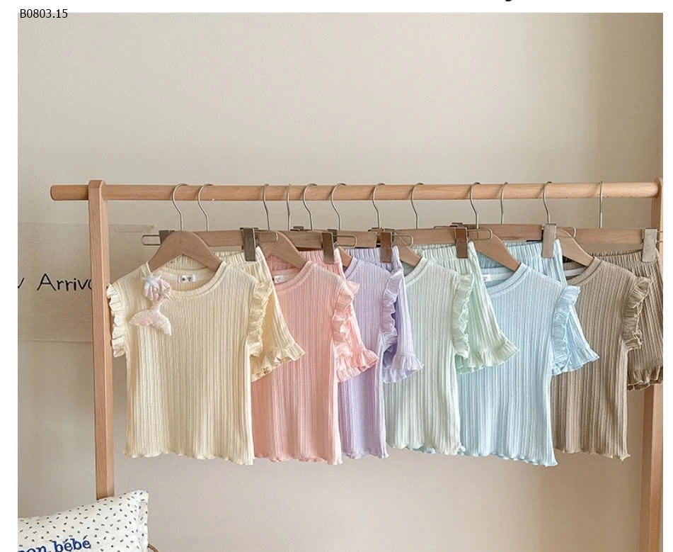 BỘ CỘC THUN GÂN VIỀN BÈO - sỉ 150k